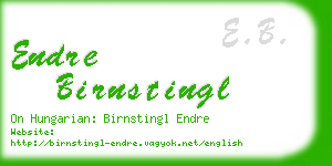 endre birnstingl business card